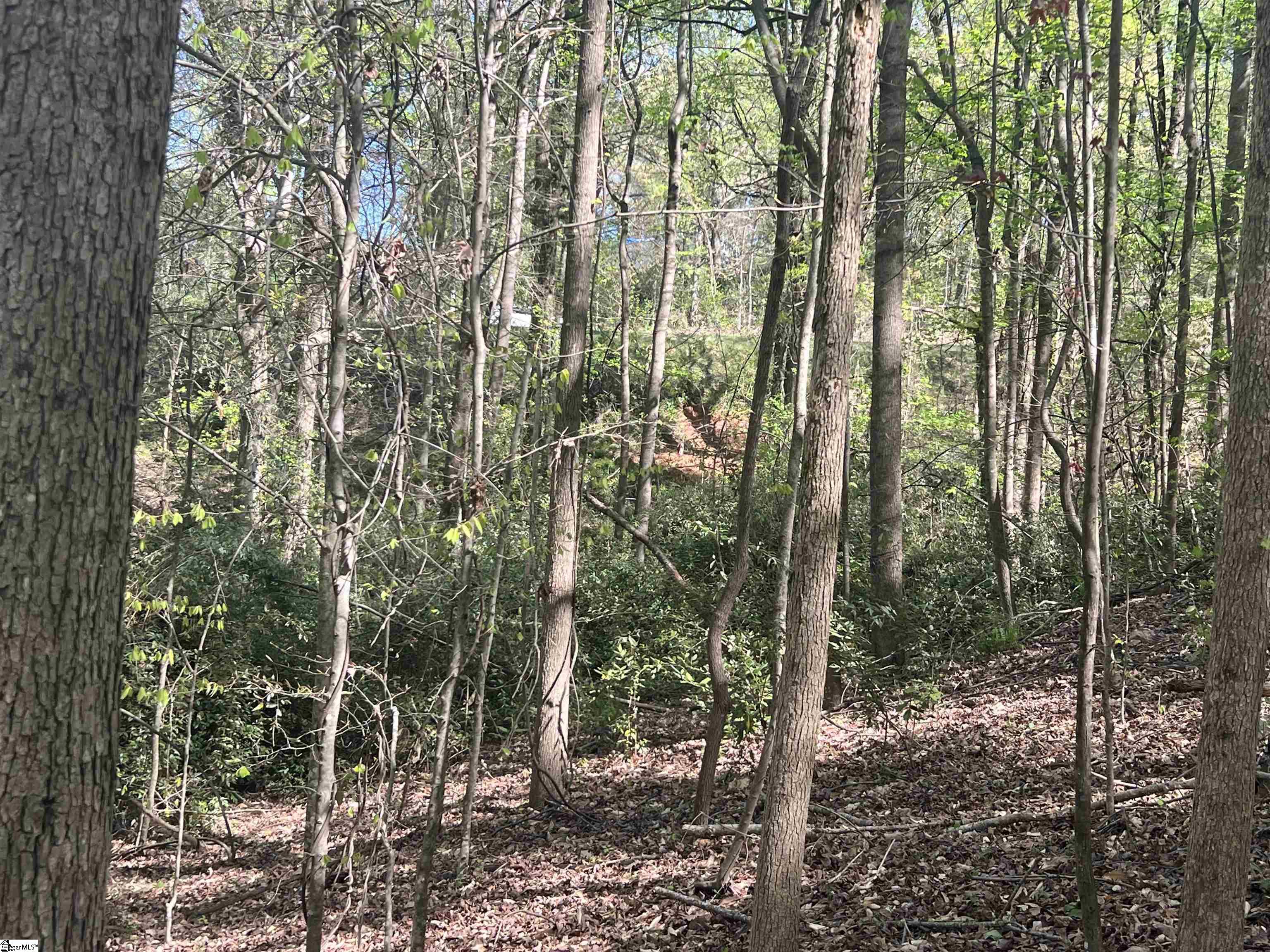 0 76th Highway Clemson, SC 29631 - Photo 18 of 27