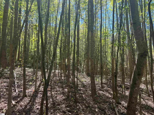 $1,299,774 | 0 76th Highway, Clemson, SC 29631