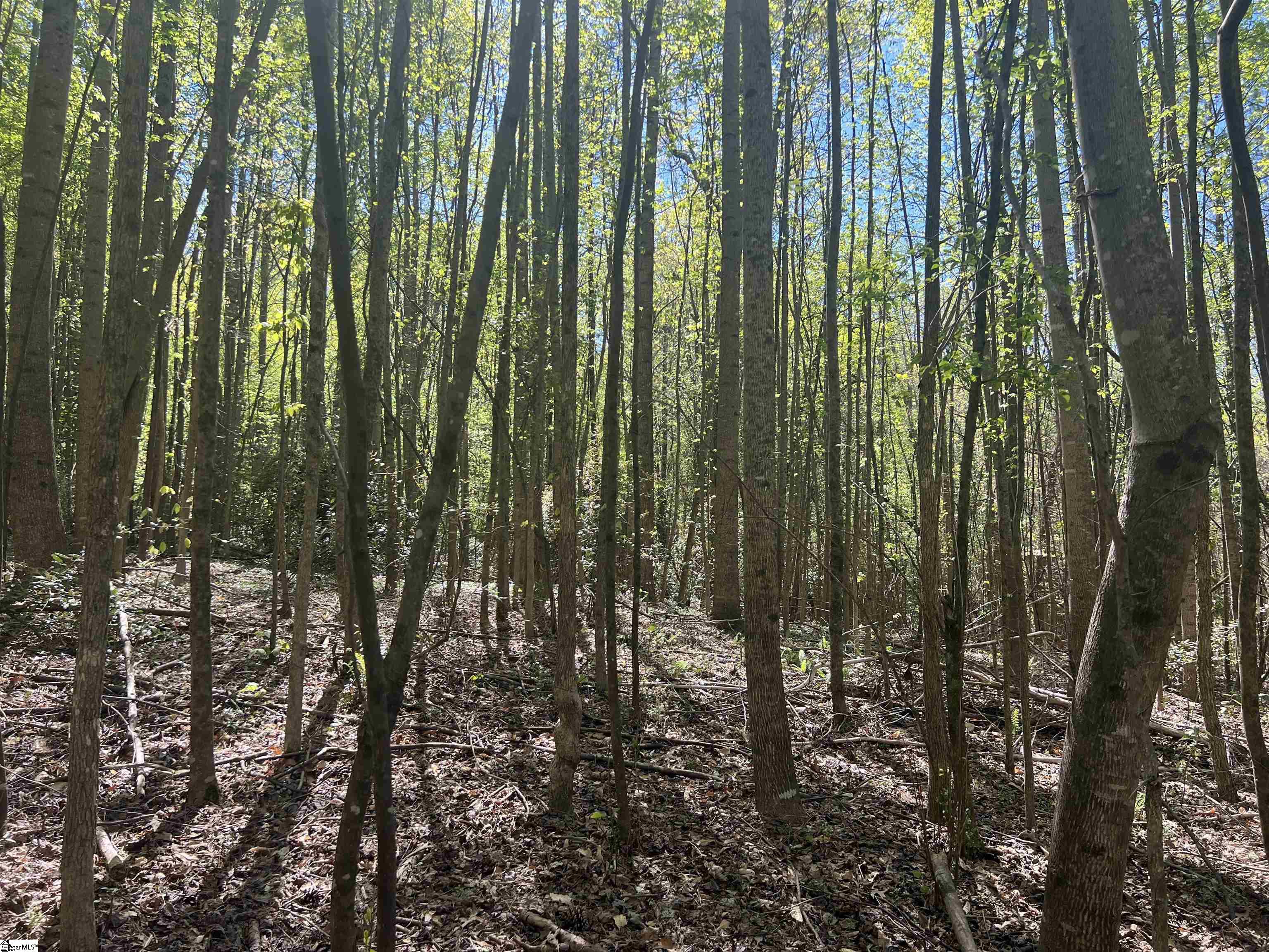 0 76th Highway Clemson, SC 29631 - Photo 19 of 27