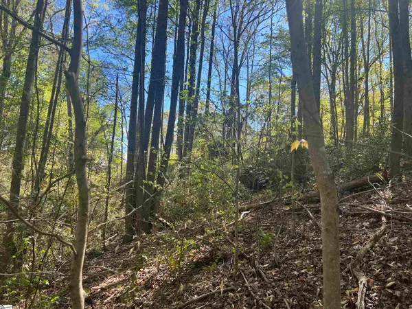 $1,299,774 | 0 76th Highway, Clemson, SC 29631