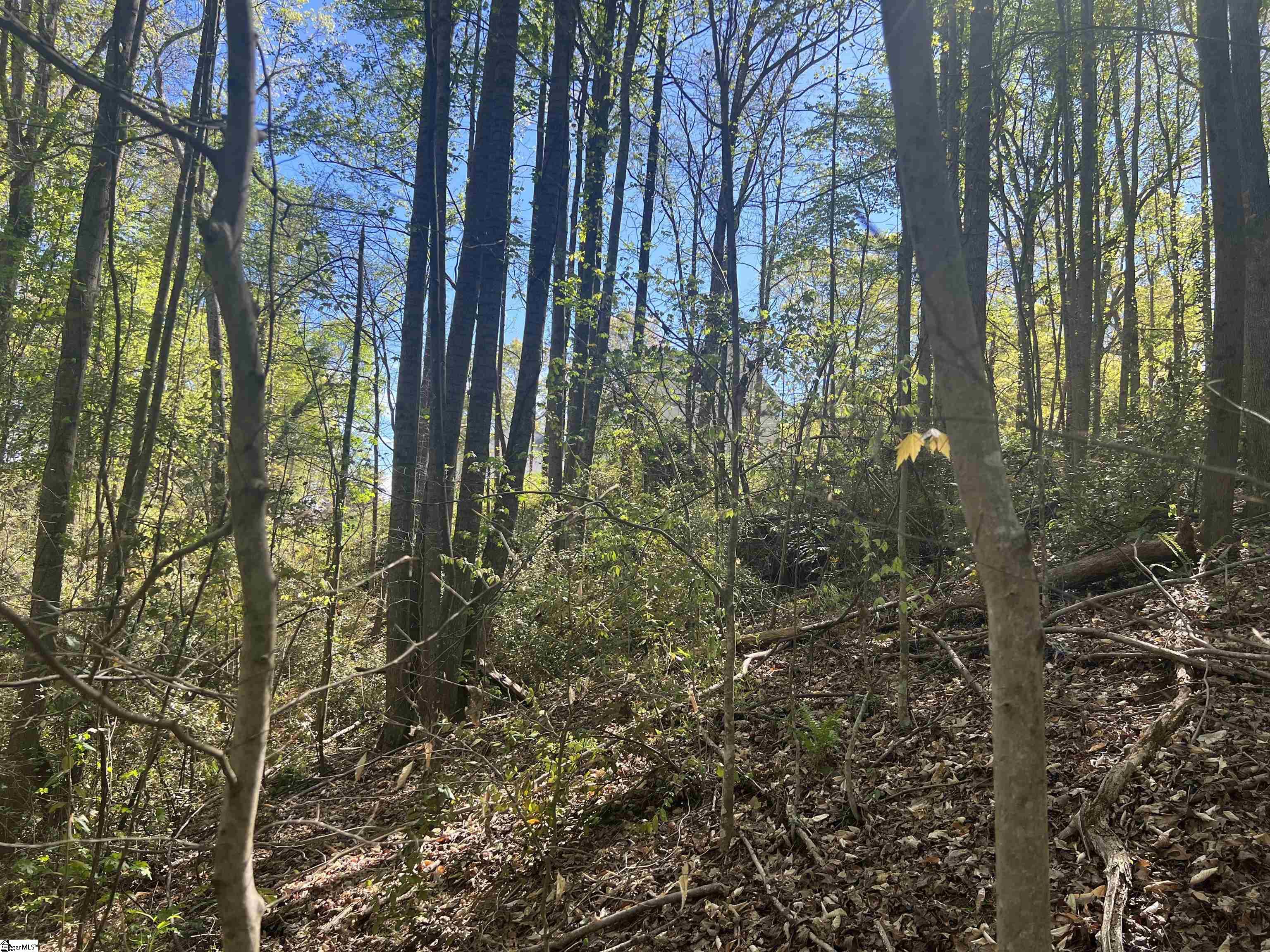 0 76th Highway Clemson, SC 29631 - Photo 21 of 27