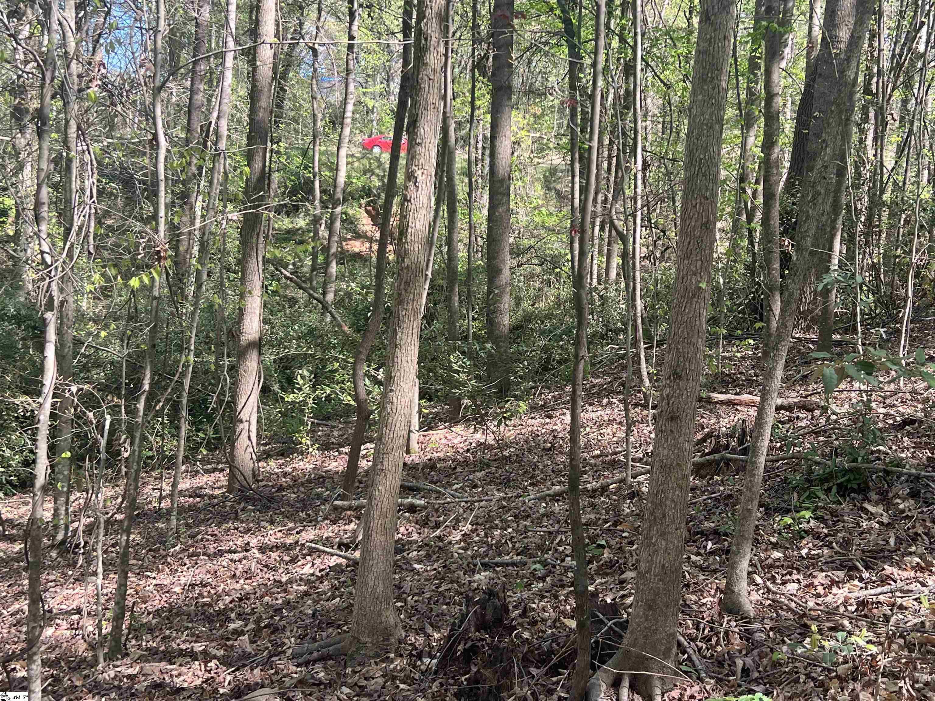 0 76th Highway Clemson, SC 29631 - Photo 22 of 27