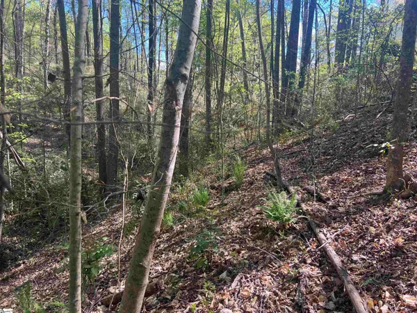 $1,299,774 | 0 76th Highway, Clemson, SC 29631