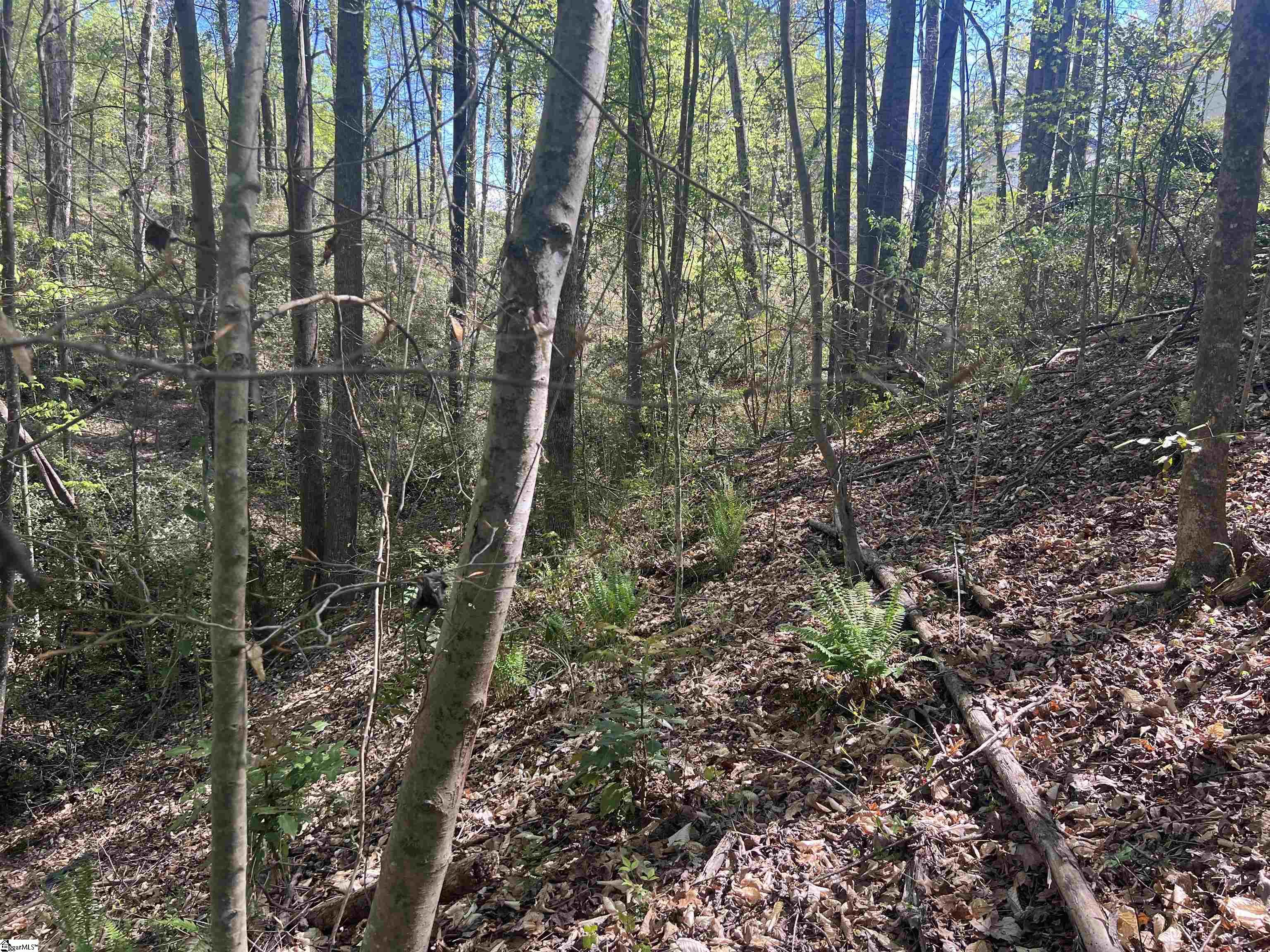 0 76th Highway Clemson, SC 29631 - Photo 23 of 27