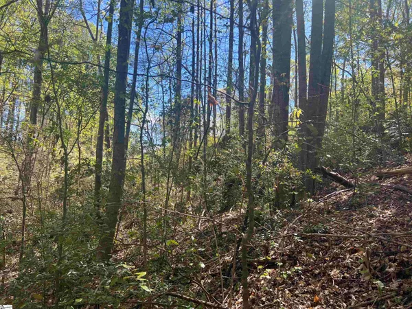 $1,299,774 | 0 76th Highway, Clemson, SC 29631