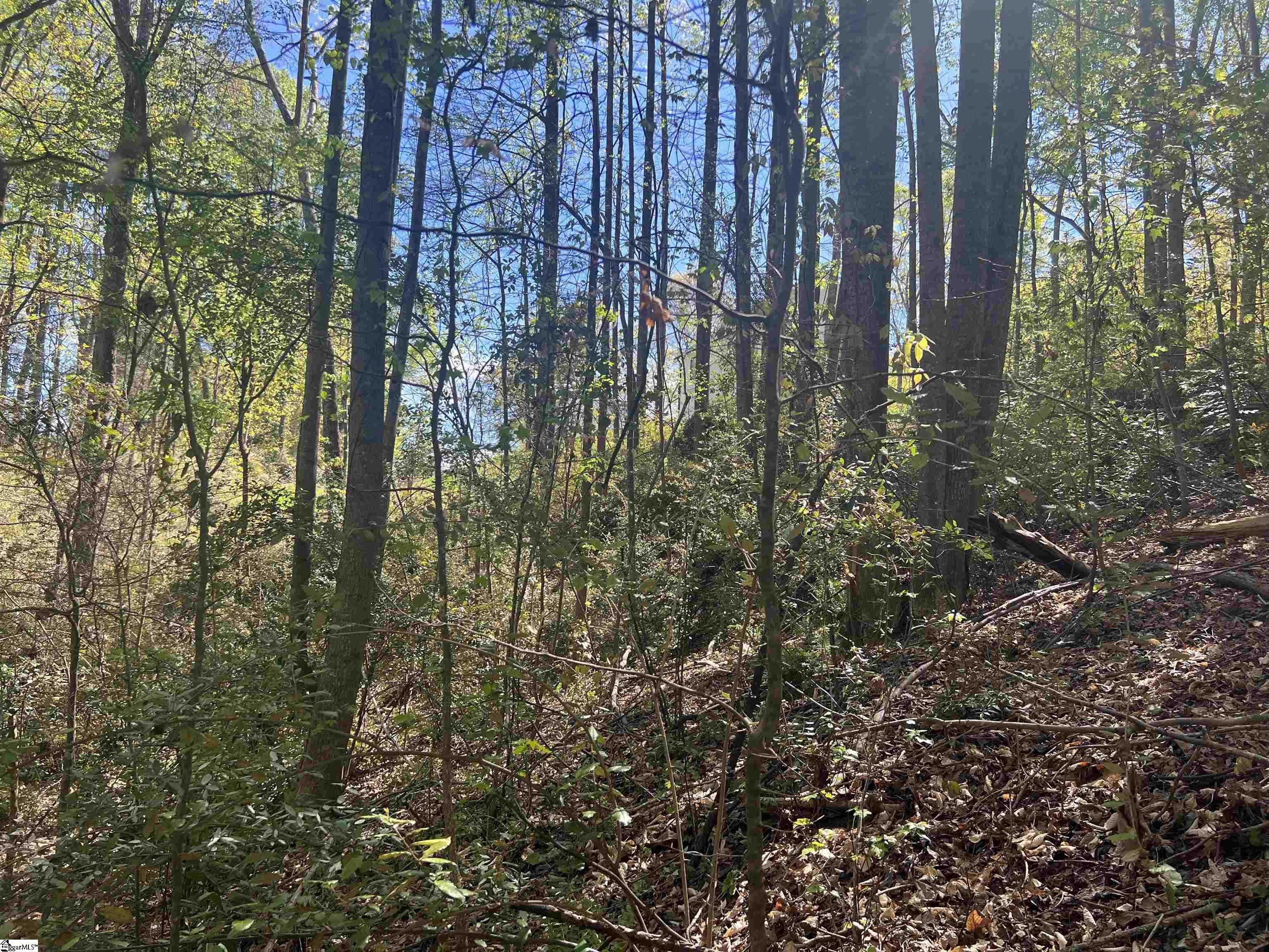 0 76th Highway Clemson, SC 29631 - Photo 24 of 27