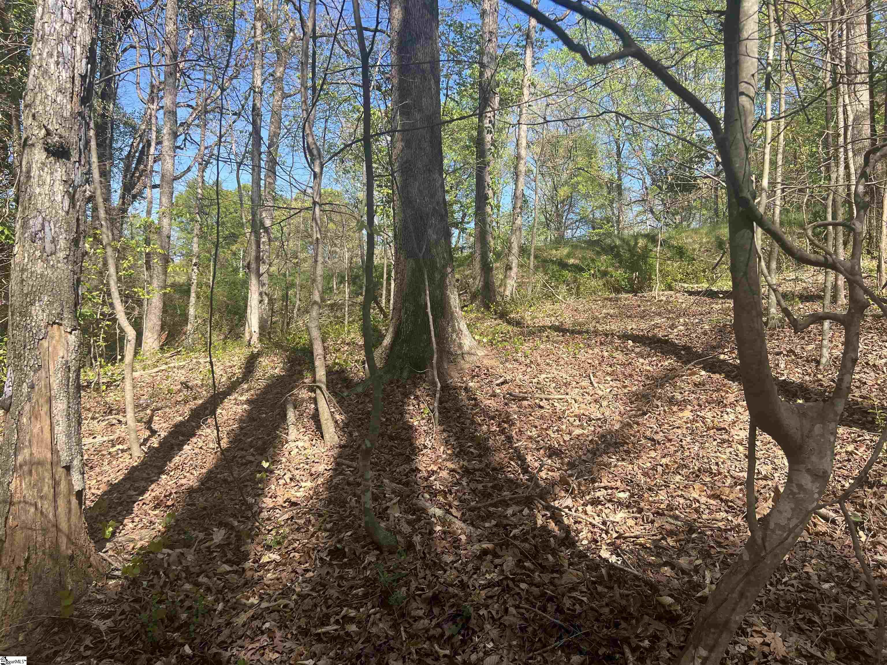 0 76th Highway Clemson, SC 29631 - Photo 25 of 27