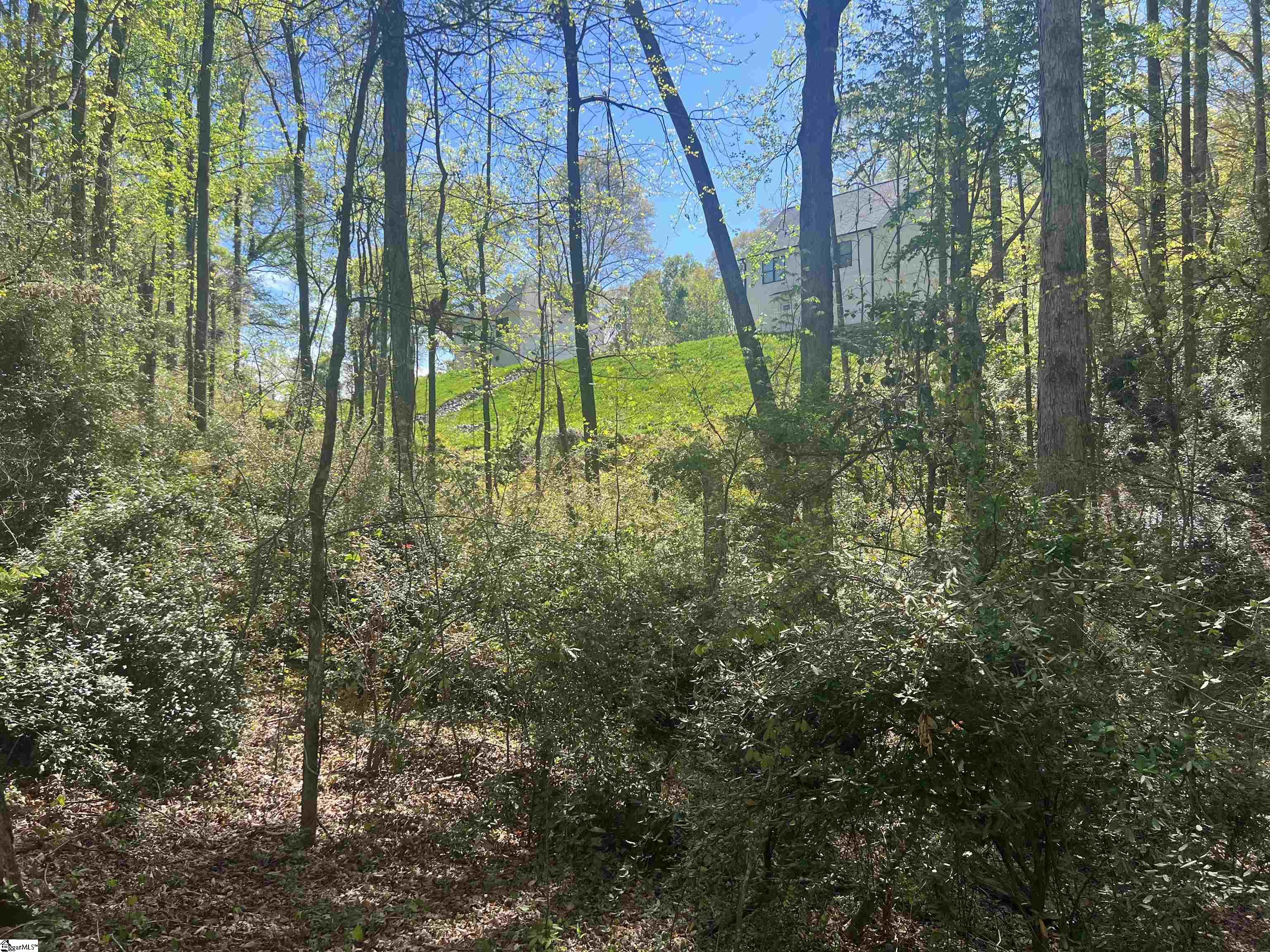 0 76th Highway Clemson, SC 29631 - Photo 26 of 27