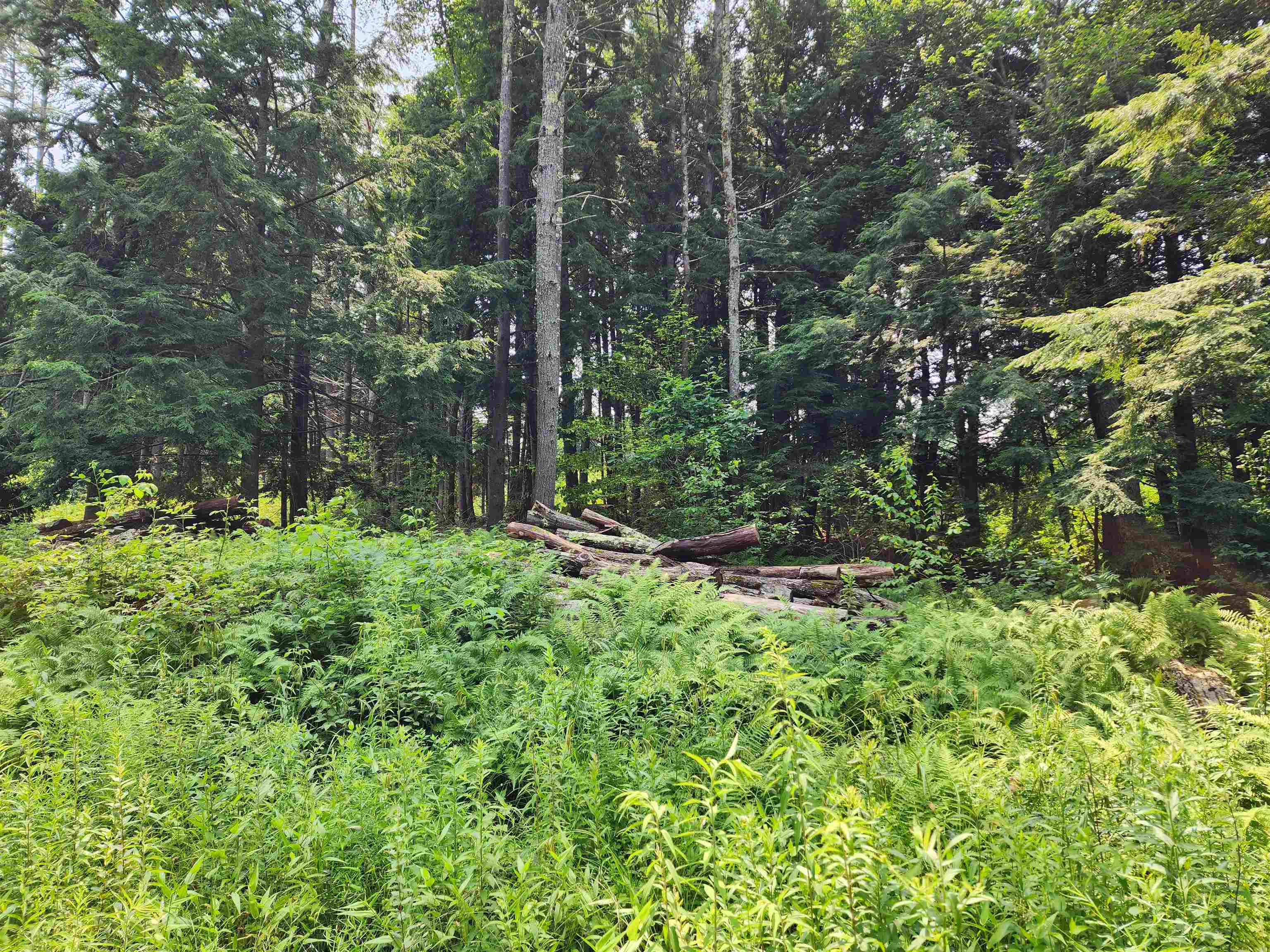 0 Creamery Road Fitzwilliam, NH 03447 - Photo 11 of 16