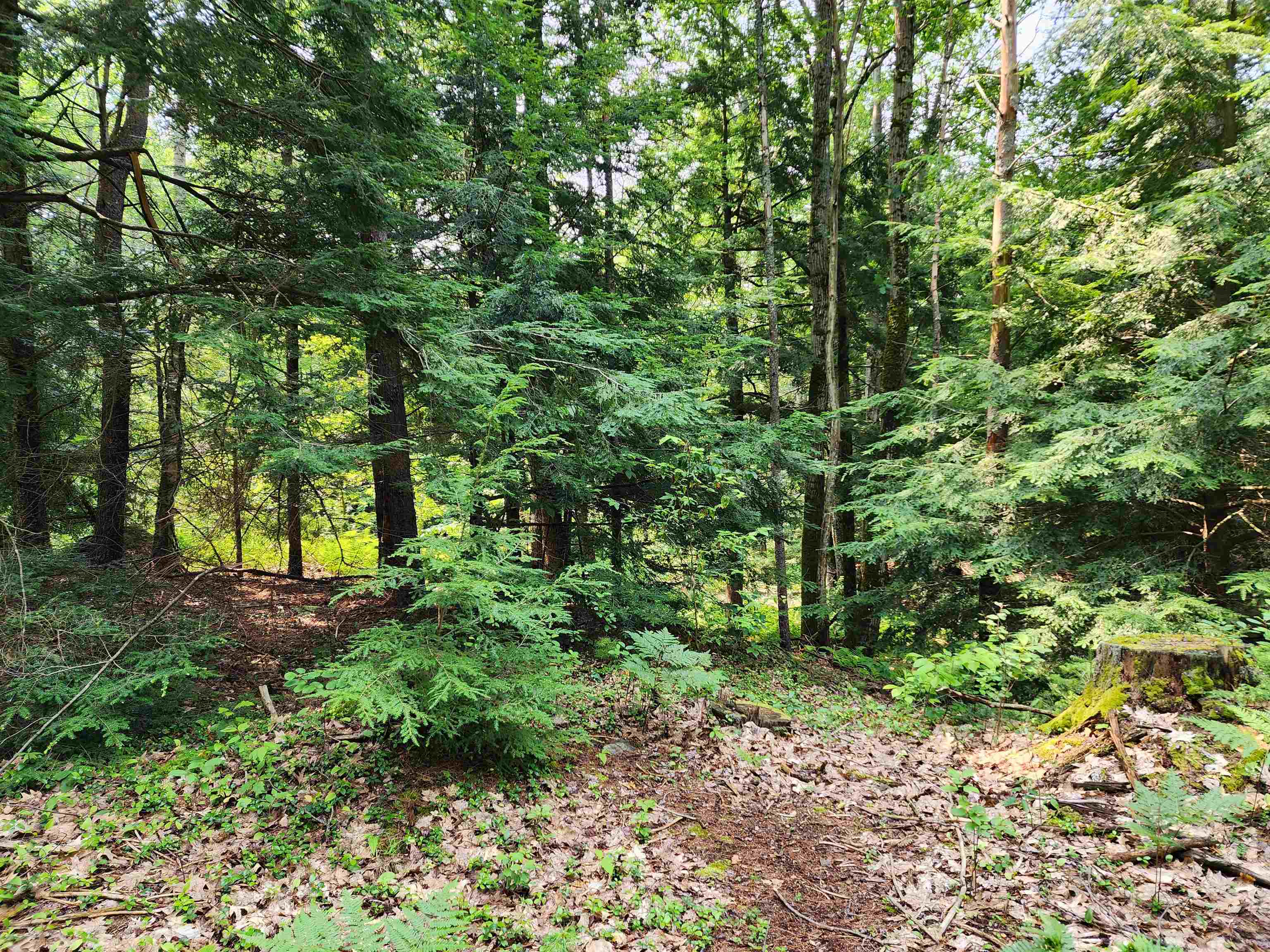 0 Creamery Road Fitzwilliam, NH 03447 - Photo 6 of 16