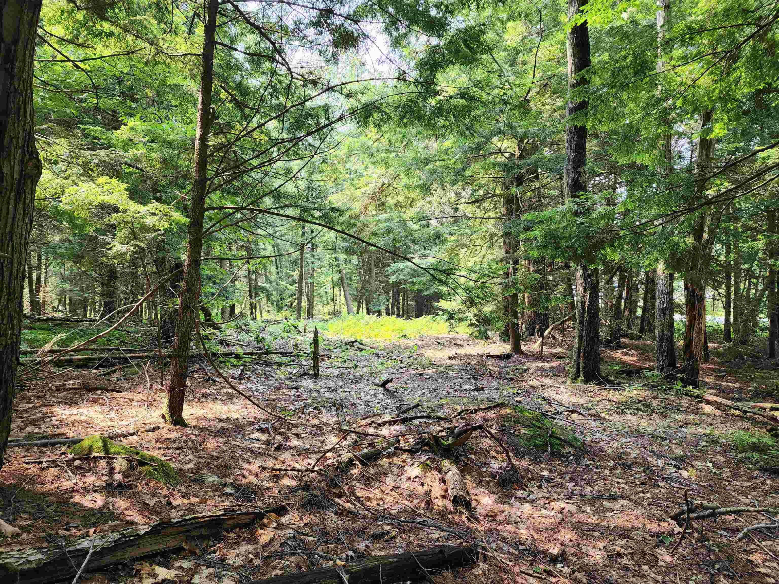 0 Creamery Road Fitzwilliam, NH 03447 - Photo 7 of 16