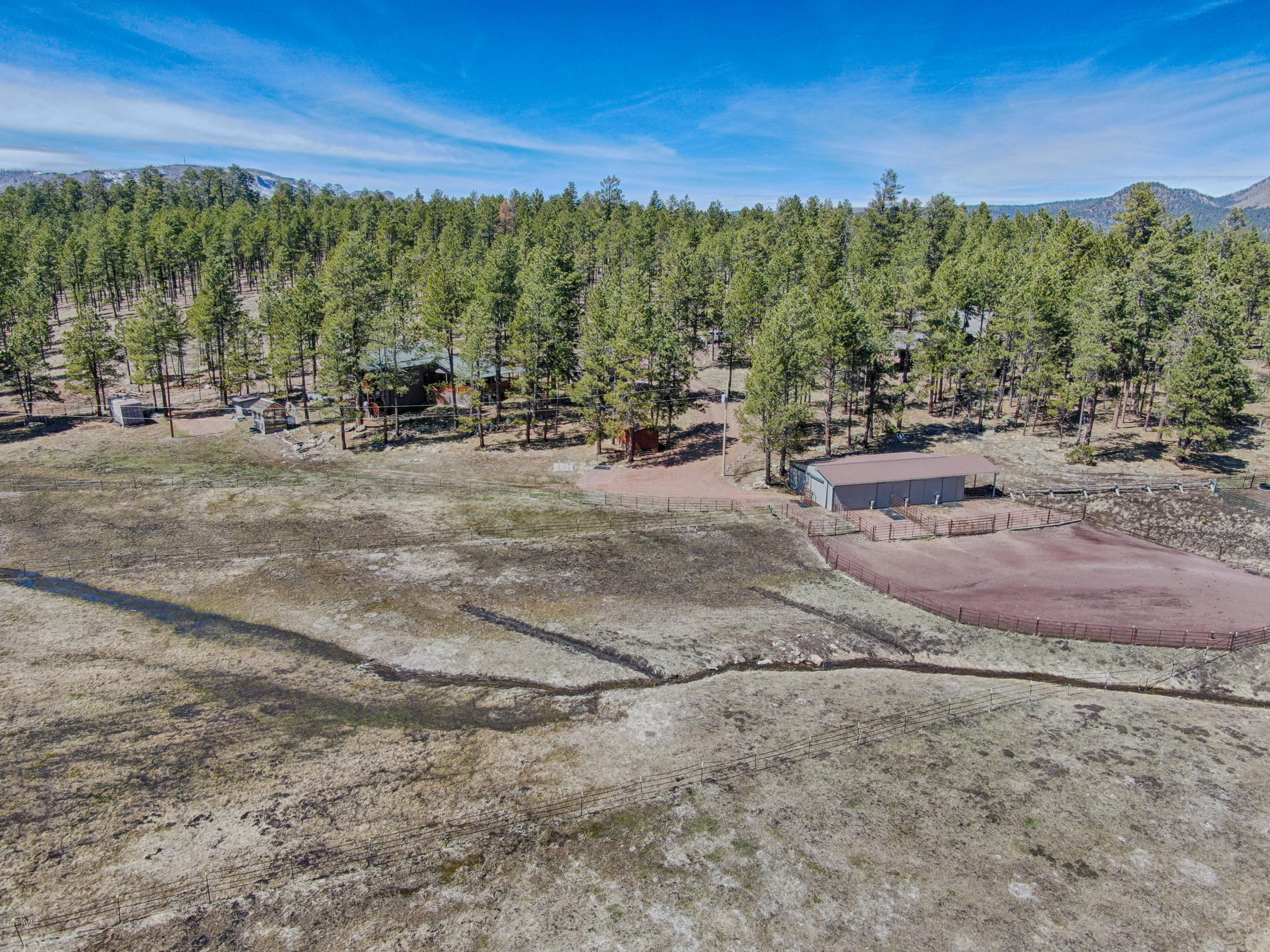 38 Apache County Road 2147 Alpine, AZ 85920 - Photo 4 of 29