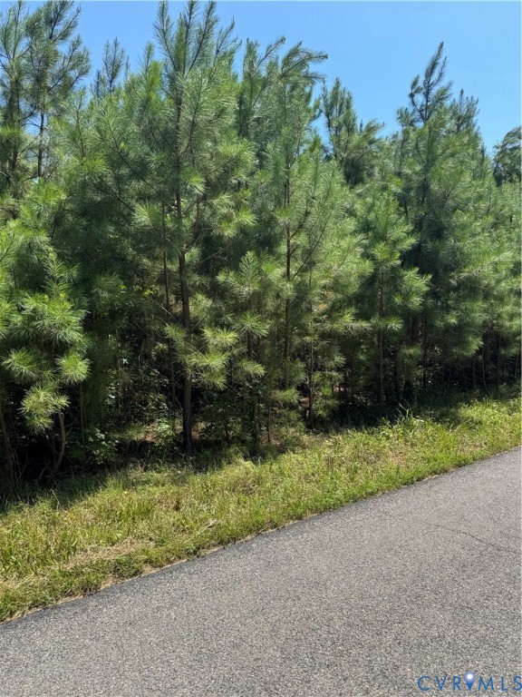 0 Lawyers Road Prince George, VA 23875 - Photo 2 of 3 View of asphalt road with a wooded view