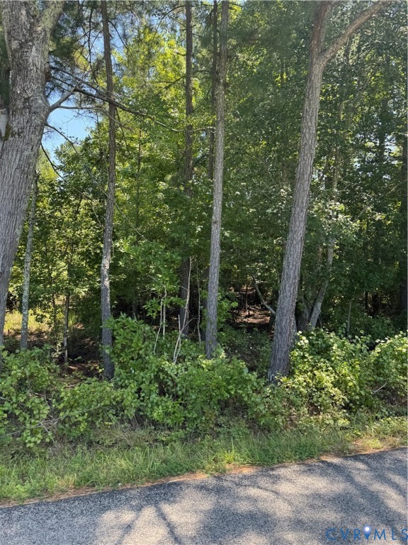 0 Lawyers Road Prince George, VA 23875 - Photo 3 of 3 View of woods