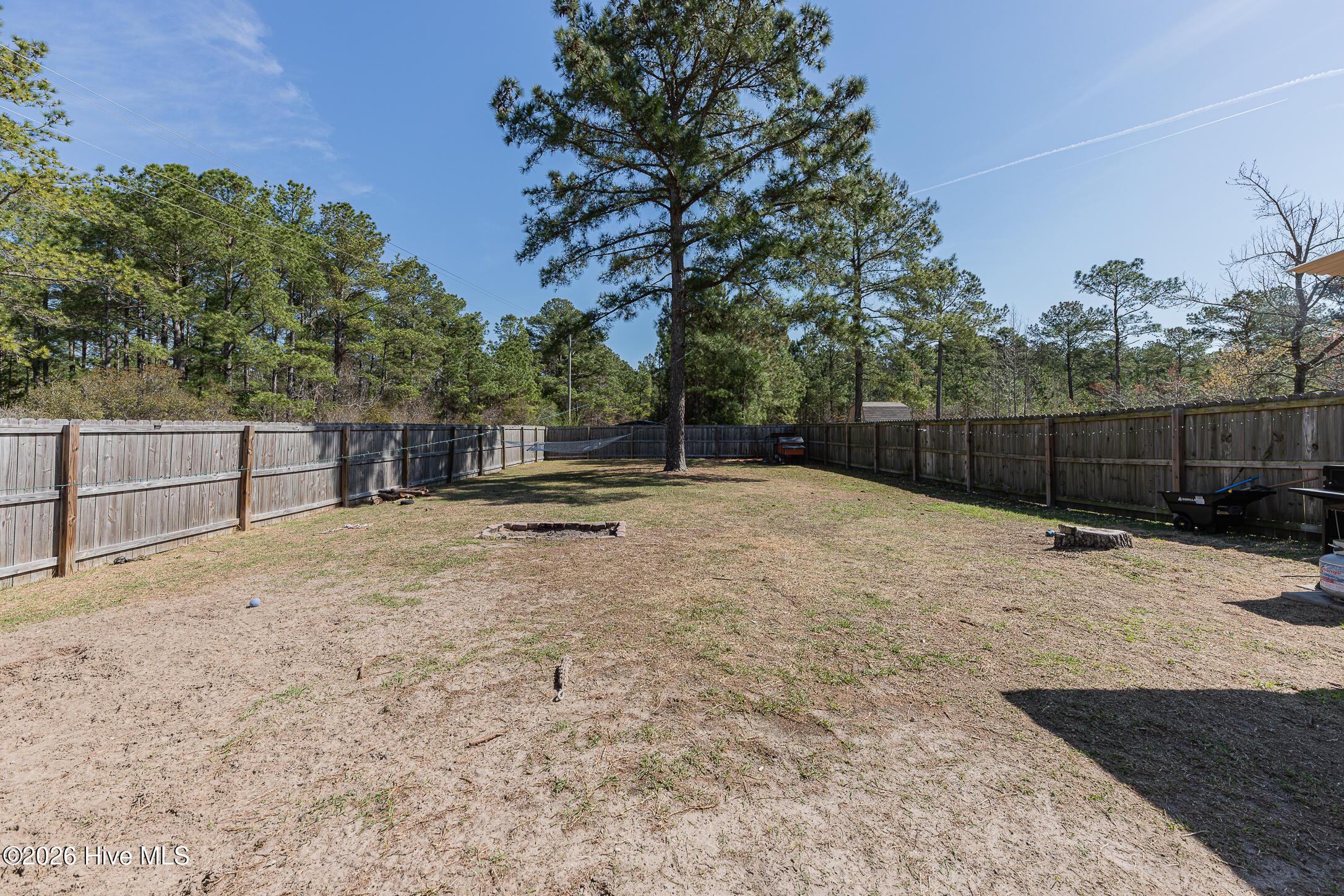 101 Boysenberry Fields Road Maple Hill, NC 28454 - Photo 36 of 43 37REAR