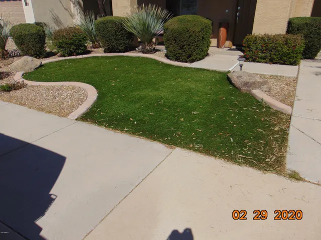 a view of a back yard