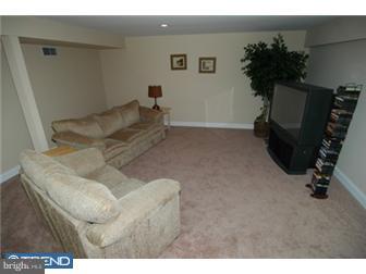 115 Rugby Road Birdsboro, PA 19508 - Photo 10 of 12 Basement