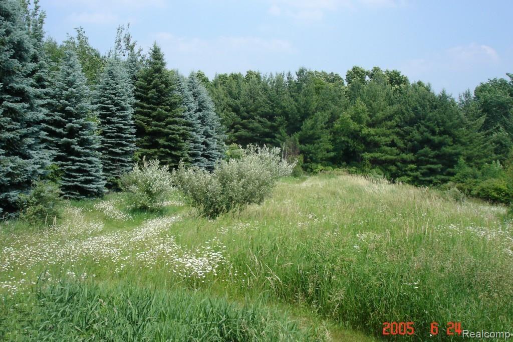 5931 Lippincott Road Lapeer, MI 48446 - Photo 35 of 54 Acreage E. 1