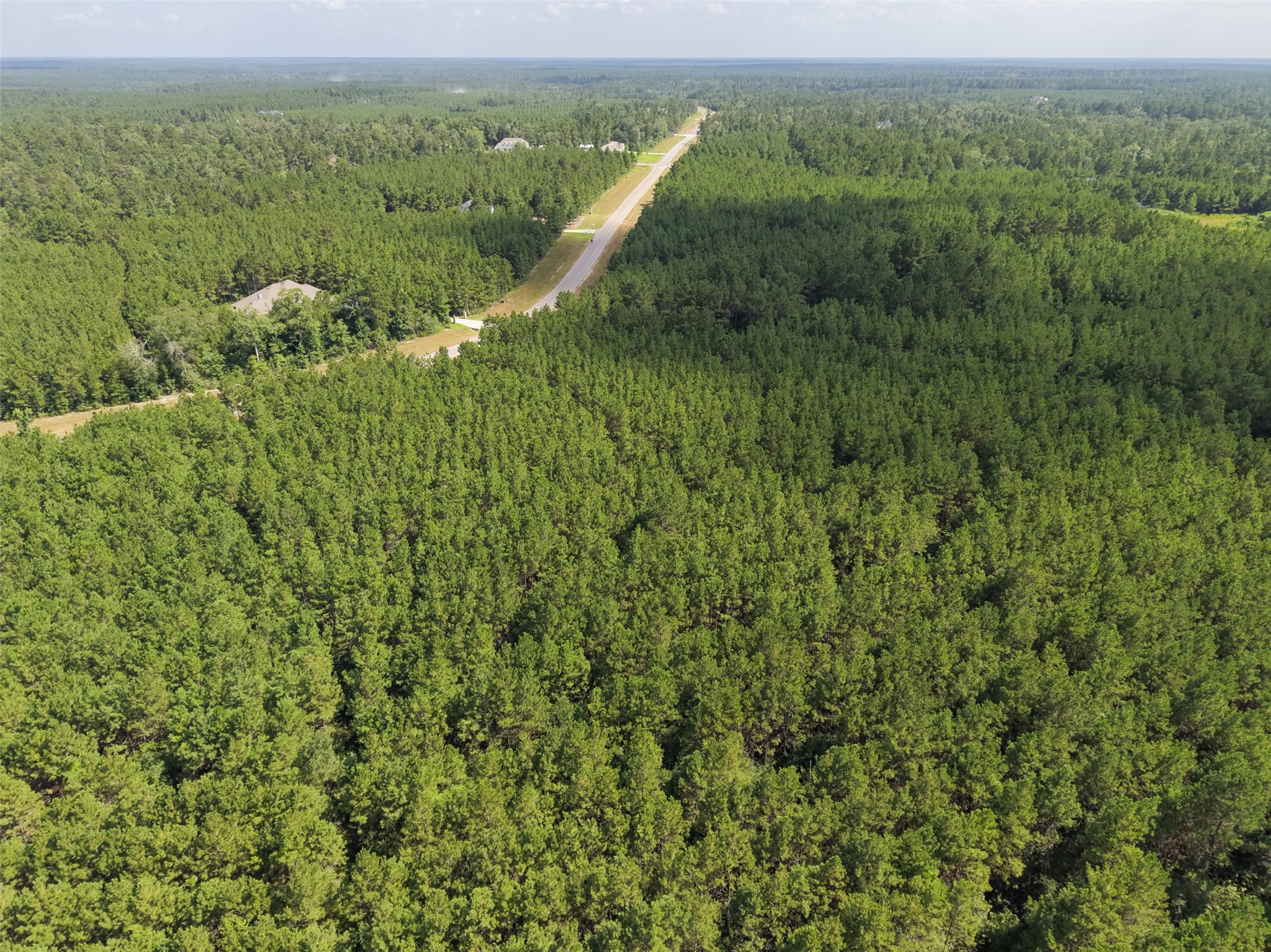 15785 Woodlife Road Willis, TX 77378 - Photo 8 of 12