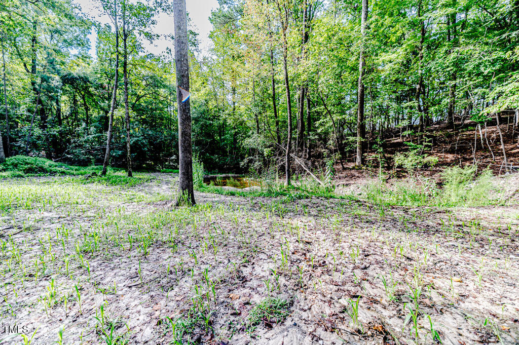 997 Jackson Road Fuquay-Varina, NC 27526 - Photo 3 of 75 AHP-8831