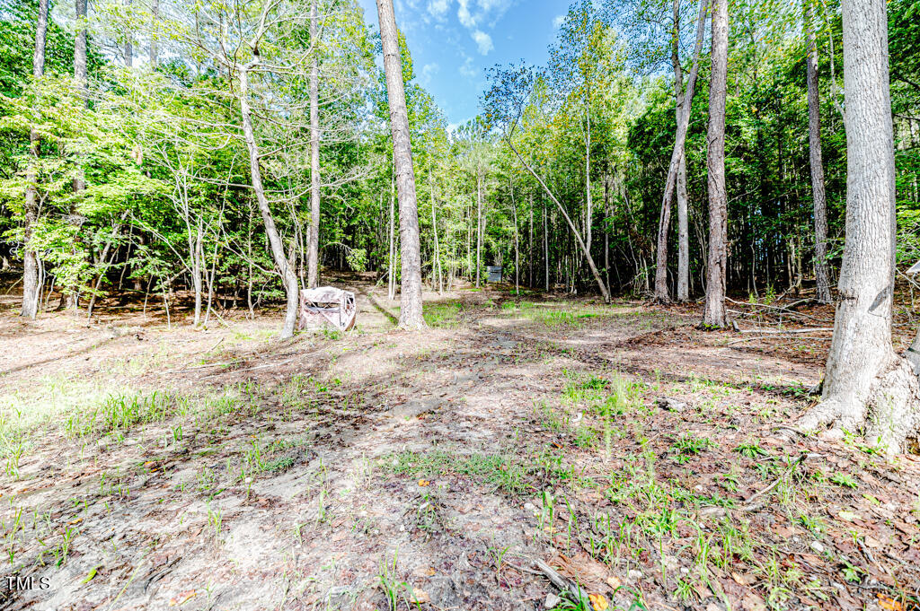 997 Jackson Road Fuquay-Varina, NC 27526 - Photo 73 of 75 a fire hydrant in the middle of a field