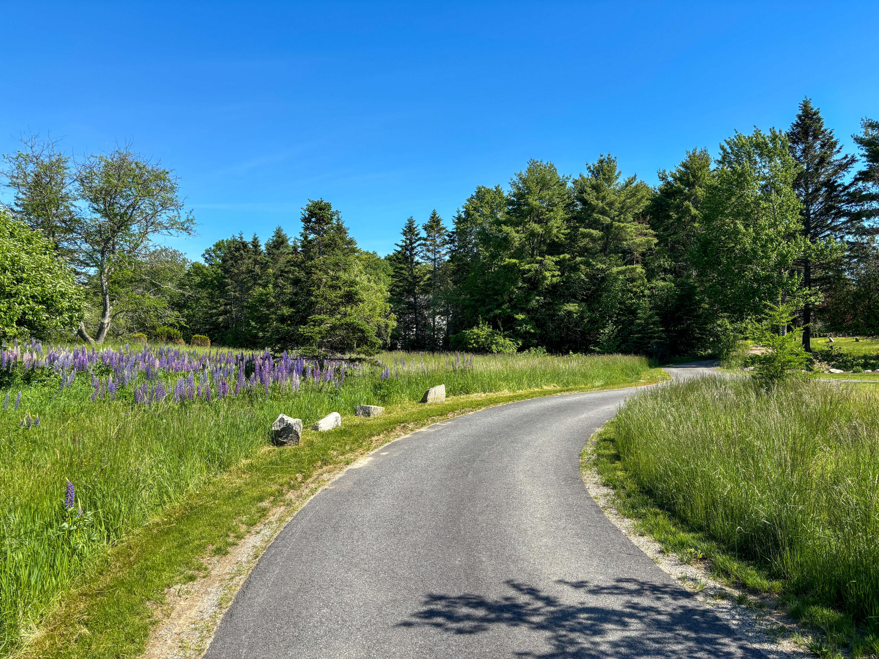 11 Brookside Road Mount Desert, ME 04660 - Photo 107 of 126 Grounds (3)