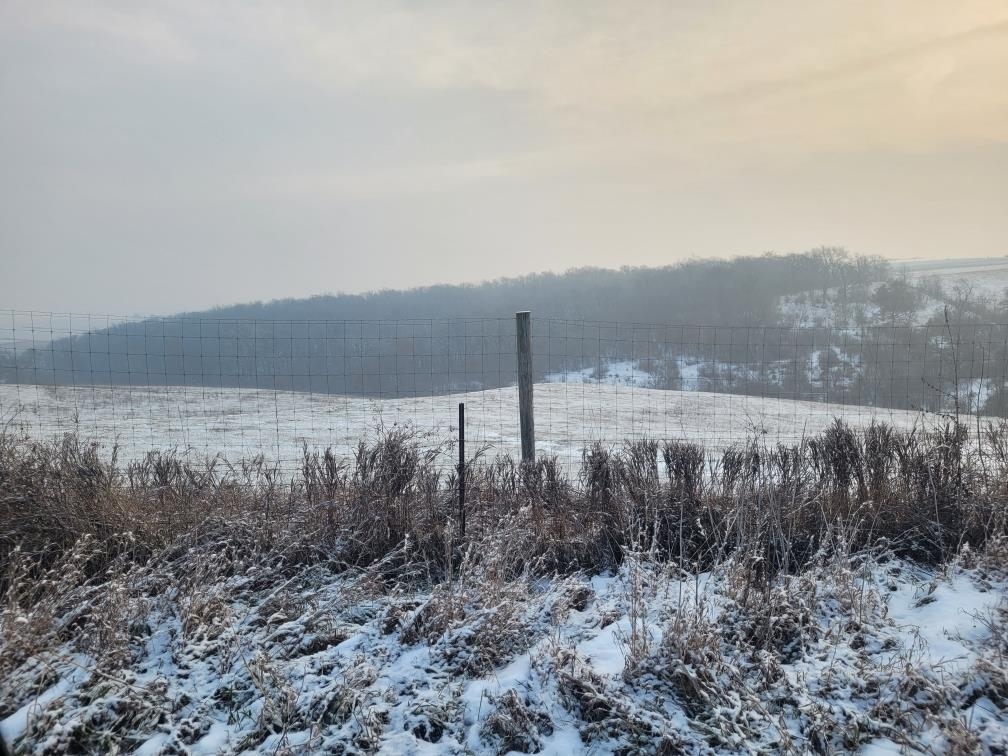 85-acres Burr Oak
