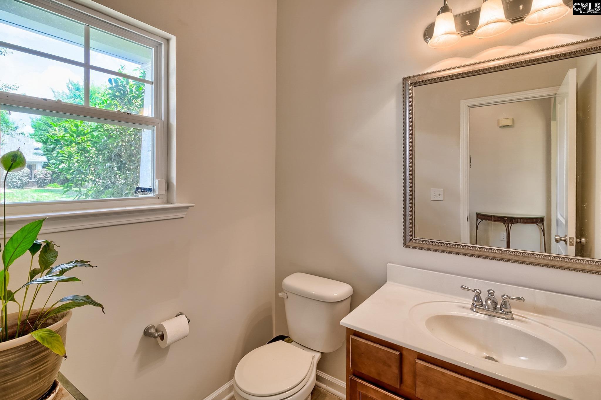 453 Crawley Lane Chapin, SC 29036 - Photo 6 of 36