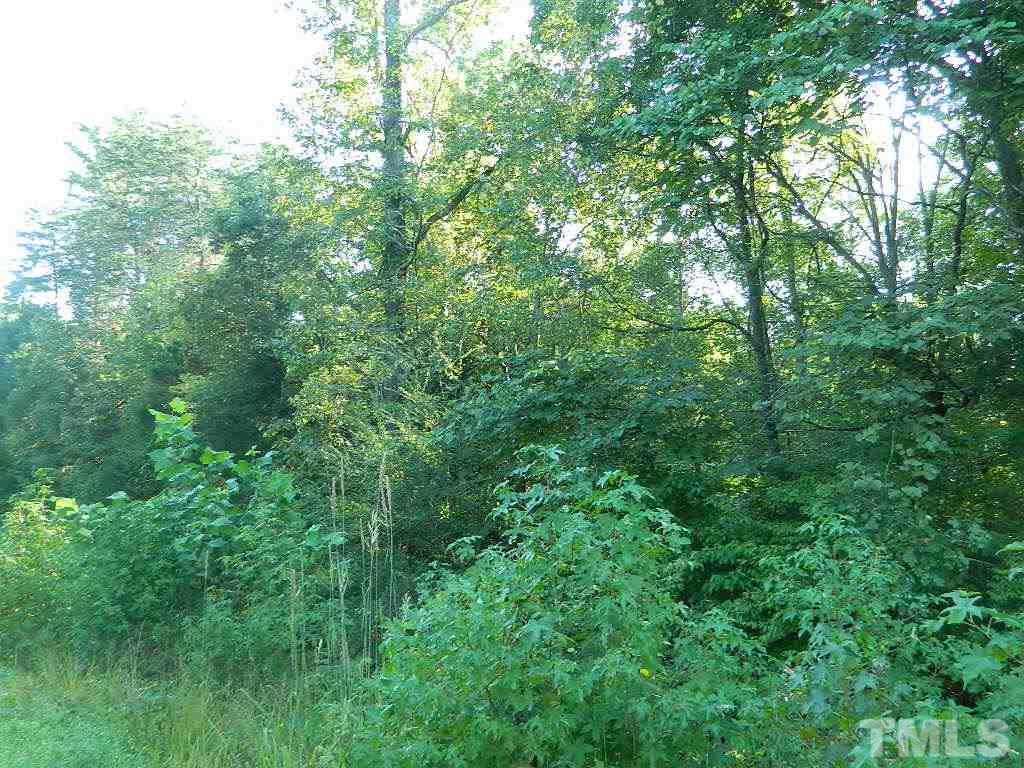 Tbd Stoney Mountain Road Rougemont, NC 27572 - Photo 3 of 9 a view of a lush green forest