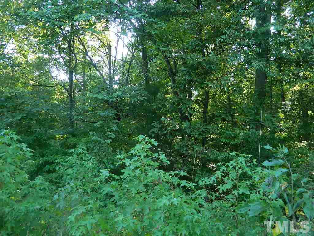 Tbd Stoney Mountain Road Rougemont, NC 27572 - Photo 4 of 9 a view of a lush green forest