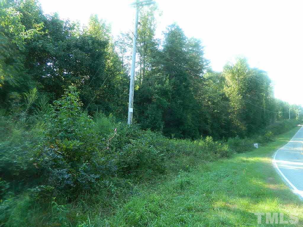 Tbd Stoney Mountain Road Rougemont, NC 27572 - Photo 6 of 9