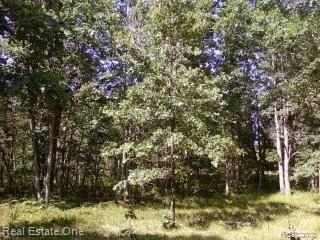 0 128th Rothbury, MI 49452 - Photo 12 of 16 Woods