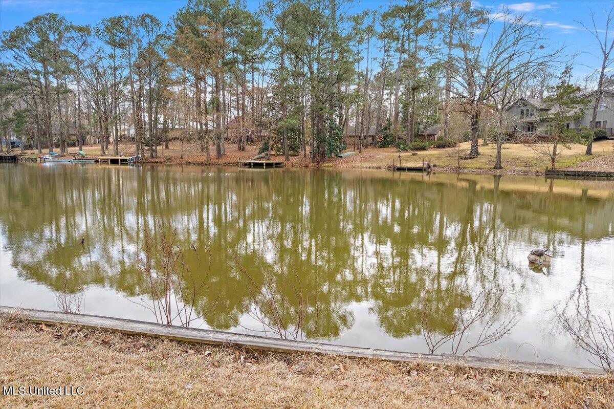 489 Cheyenne Lane Madison, MS 39110 - Photo 34 of 46 34-IbDJI_0779