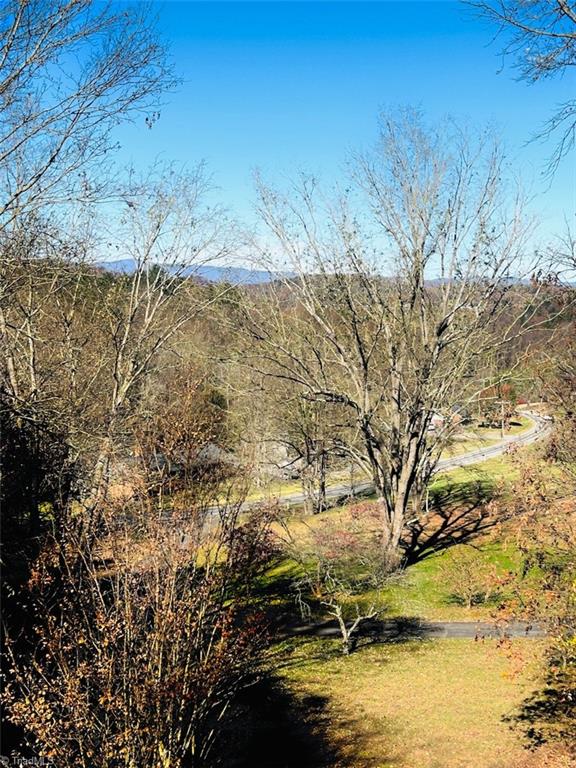 1463 Dragway Road Wilkesboro, NC 28697 - Photo 26 of 34