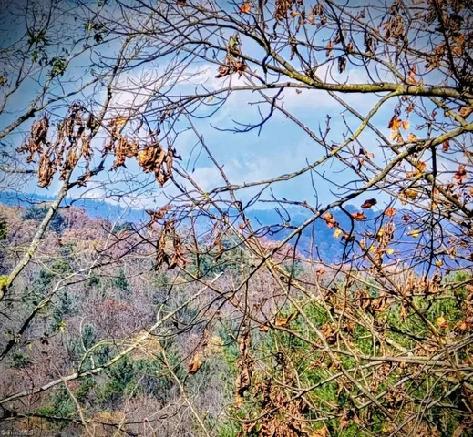 $329,000 | 1463 Dragway Road, Wilkesboro, NC 28697