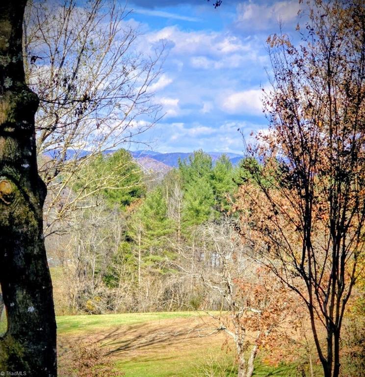 1463 Dragway Road Wilkesboro, NC 28697 - Photo 30 of 34