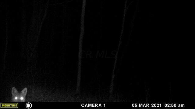 57640 St John Road Quaker City, OH 43773 - Photo 15 of 51 Cuyote