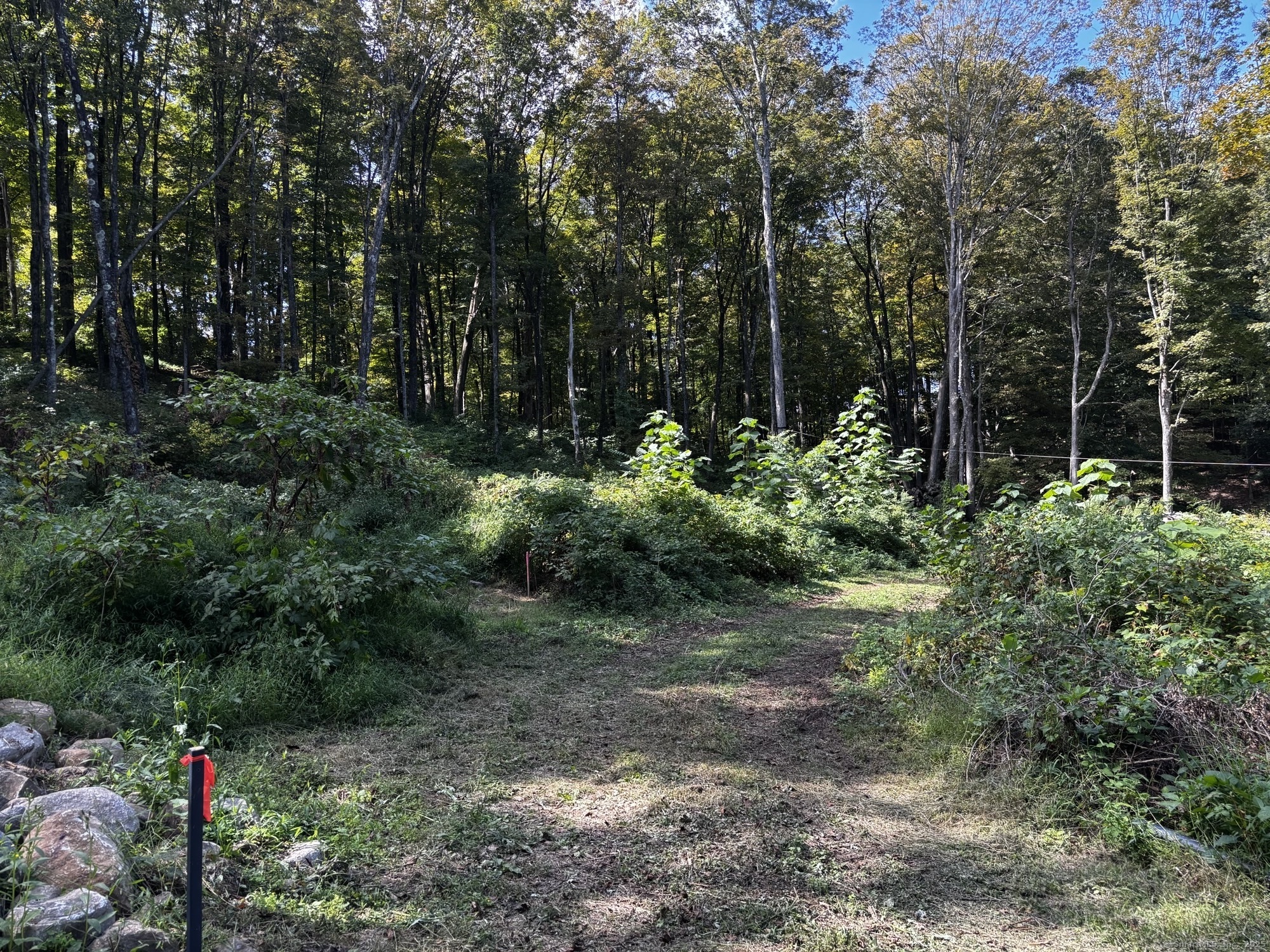 280 Jeremy Swamp Road Southbury, CT 06488 - Photo 3 of 5 a backyard of a house with lots of green space and trees all around