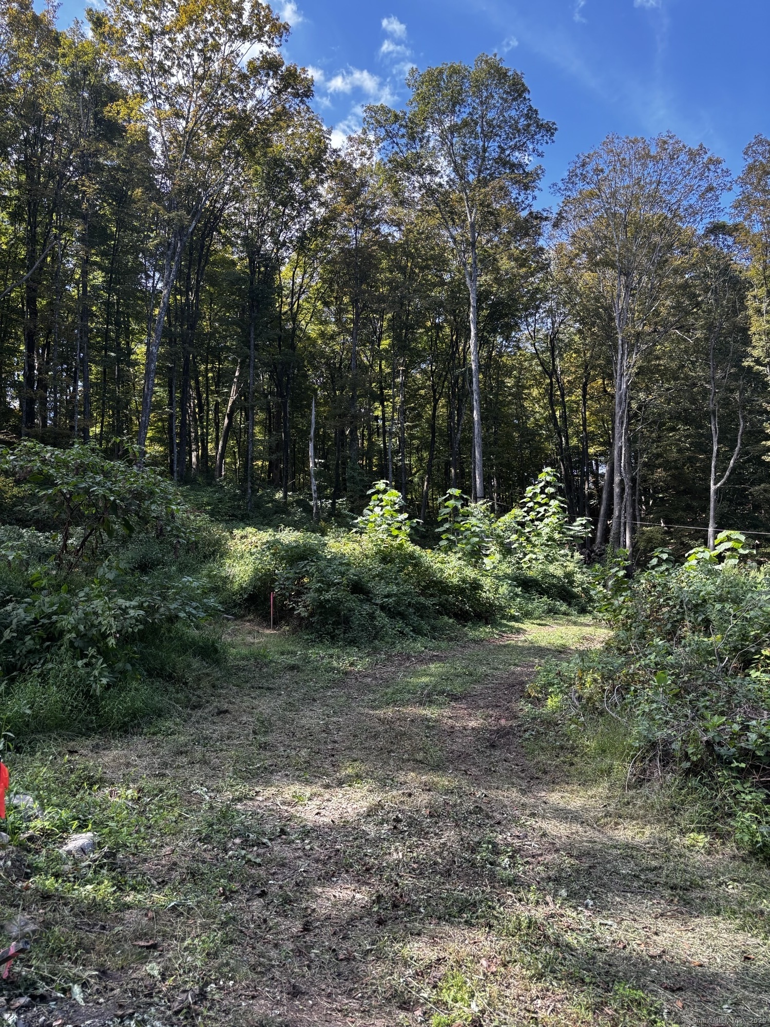 280 Jeremy Swamp Road Southbury, CT 06488 - Photo 4 of 5 a view of a yard with large trees