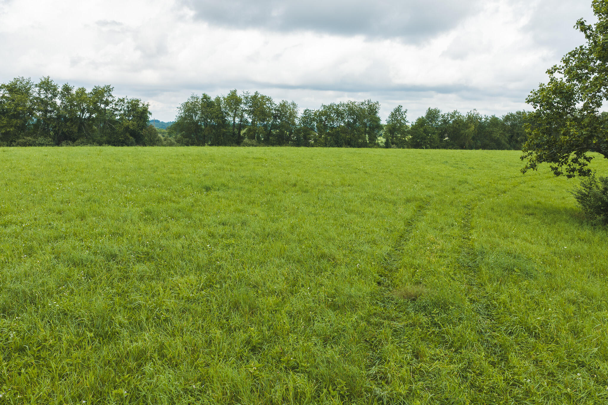 Lot 1 Ridgeview Road Northwest Floyd, VA 24091 - Photo 13 of 26 DJI_20260804125447_0313_D
