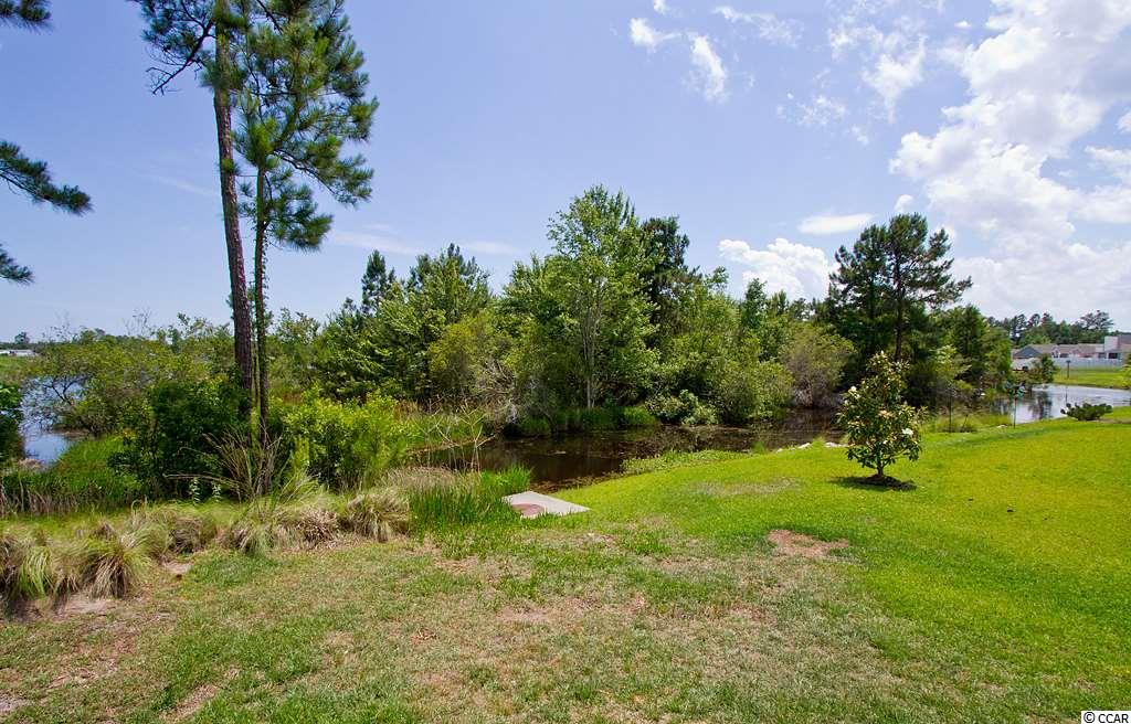 234 Four Leaf Lane Murrells Inlet, SC 29576 - Photo 4 of 20 Gallery Image 4