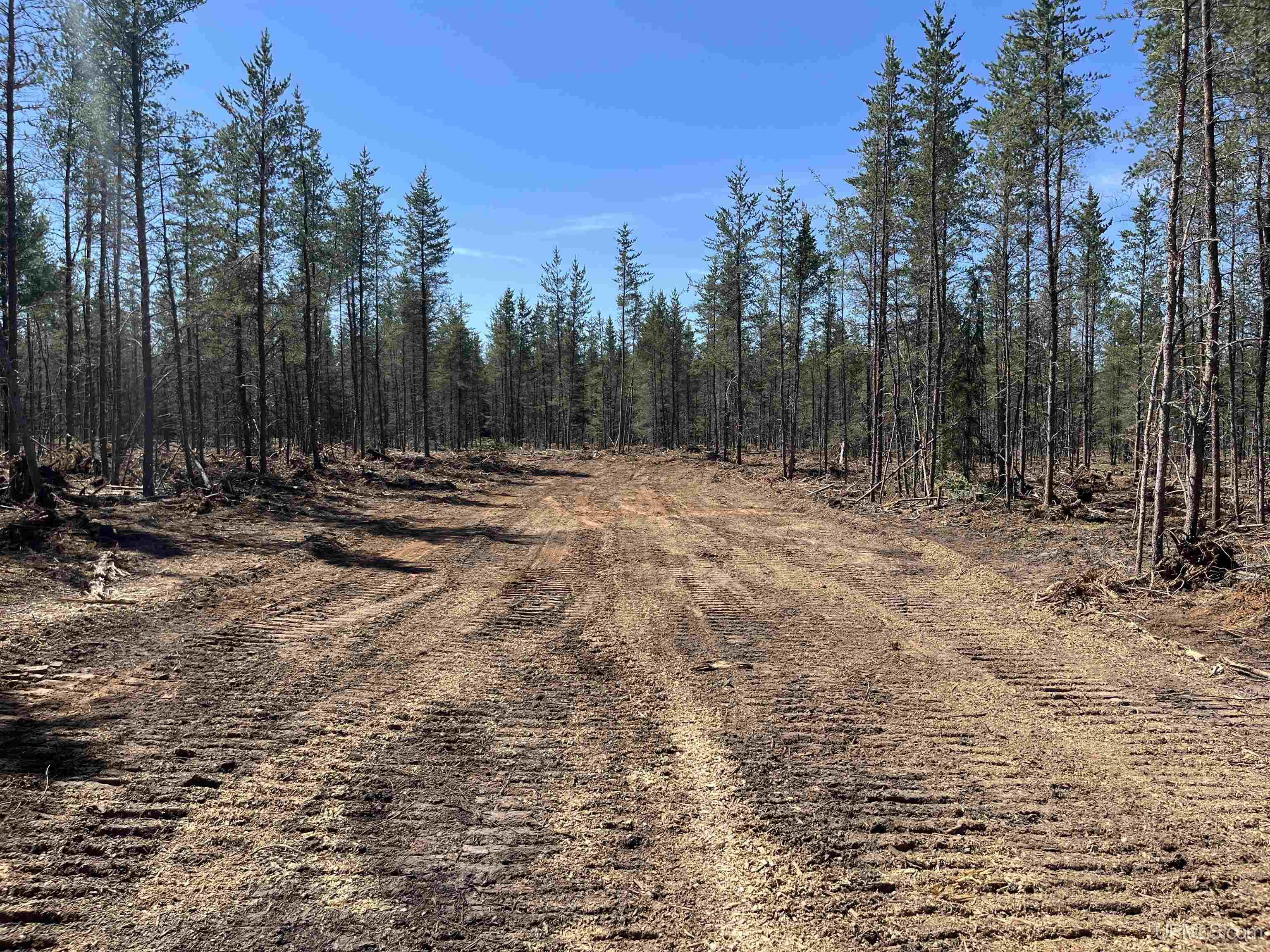 581 County Road 581 Road Ishpeming, MI 49849 - Photo 11 of 30