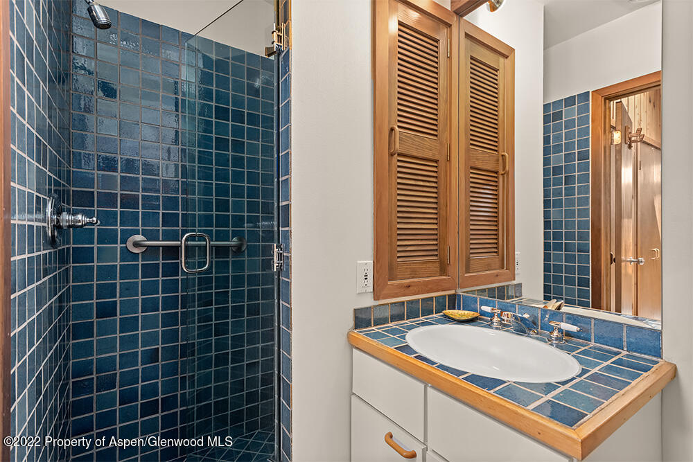 311 West North Street, Unit A Aspen, CO 81611 - Photo 23 of 39 a bathroom with a sink and a bathtub