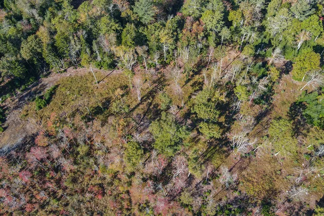 $160,000 | Lot 4 Jack's Lane, New Harbor, ME 04554