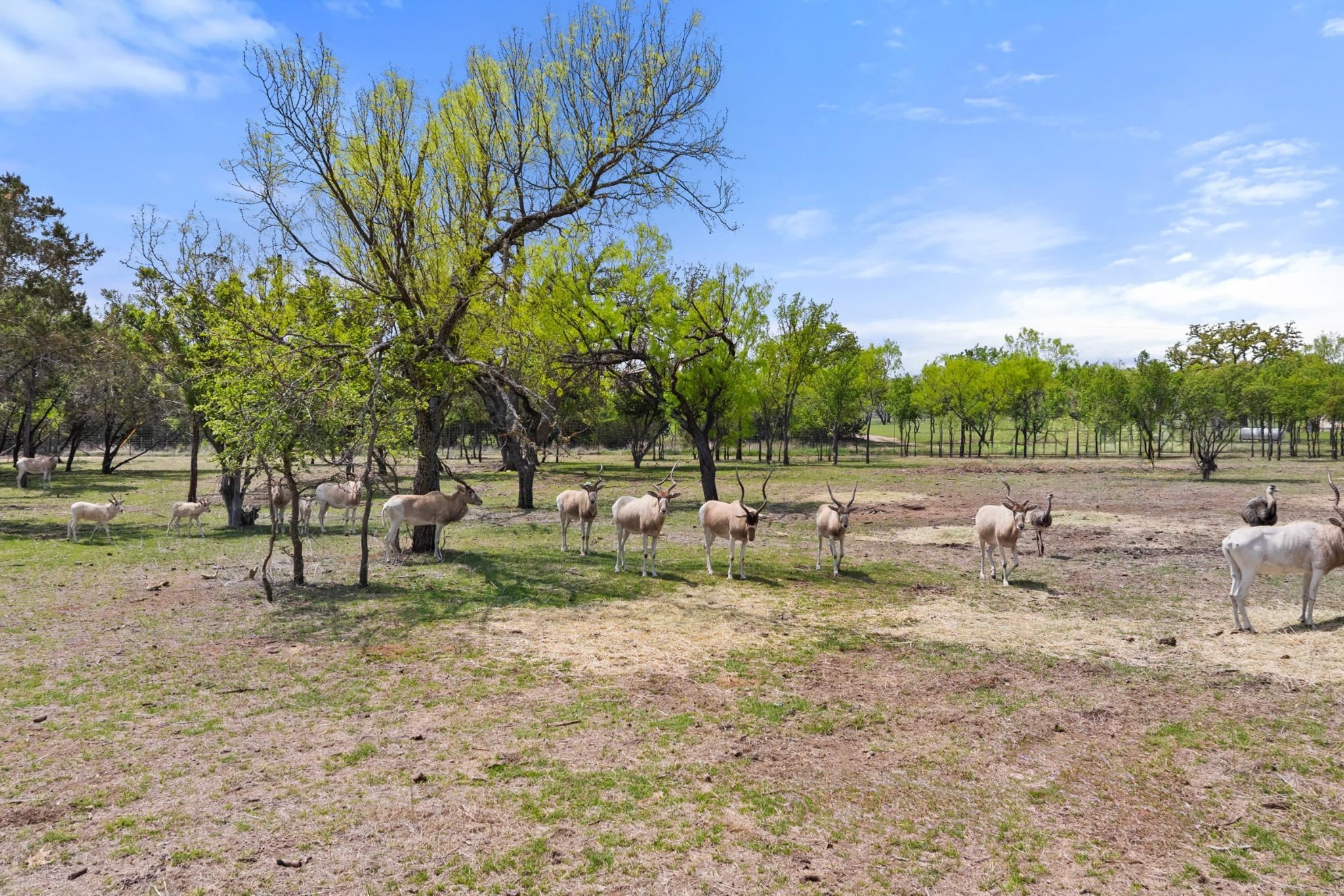 10090 Ranch Road 1323 Johnson City, TX 78636 - Photo 13 of 30