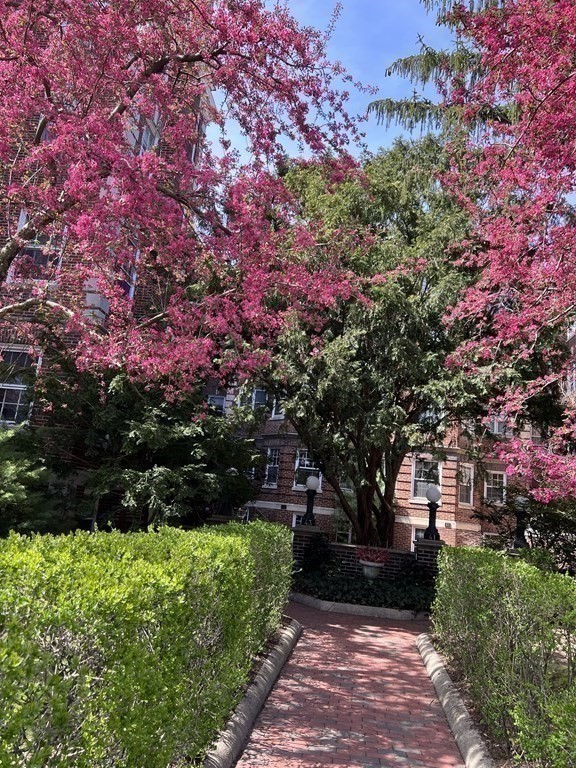 41 Linnaean Street, Unit 36 Cambridge, MA 02138 - Photo 2 of 37