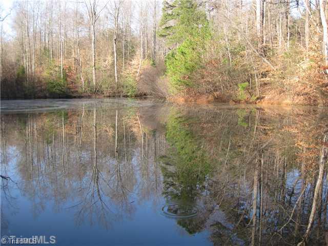 3532 Shoals Road East Bend, NC 27018 - Photo 14 of 15 Land/Lot.