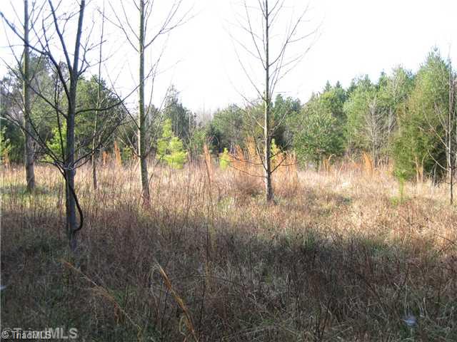 3532 Shoals Road East Bend, NC 27018 - Photo 3 of 15 Land/Lot.