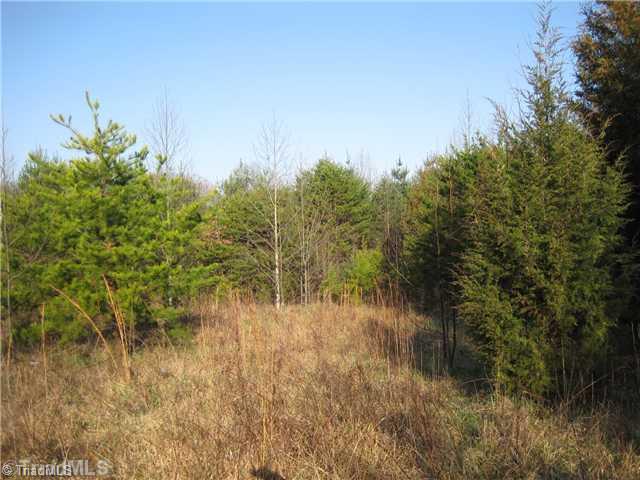 3532 Shoals Road East Bend, NC 27018 - Photo 4 of 15 Land/Lot.