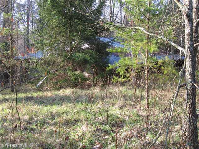 3532 Shoals Road East Bend, NC 27018 - Photo 5 of 15 Land/Lot.